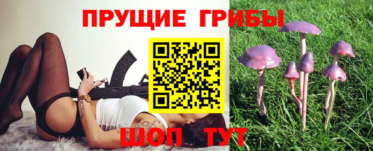 Псилоцибиновые грибы прущие грибы Югорск