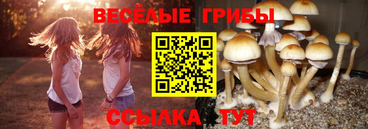 Галлюциногенные грибы GOLDEN TEACHER  Вход с VPN  Югорск  Псилоцибиновые грибы GOLDEN TEACHER 